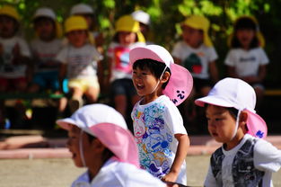 童心童趣，幼儿园里的奇妙成长之旅