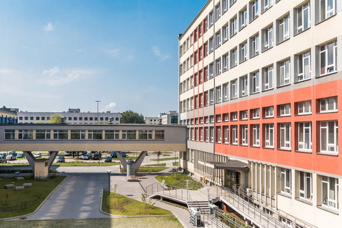 卢嘉伟，清华大学积极心理学指导师的教育理念与实践