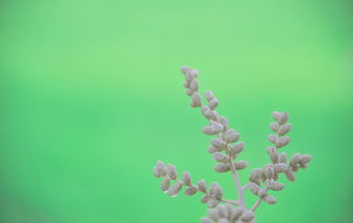 教育成长语录，简短而深刻的智慧